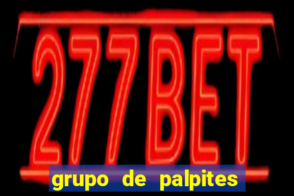 grupo de palpites de futebol whatsapp